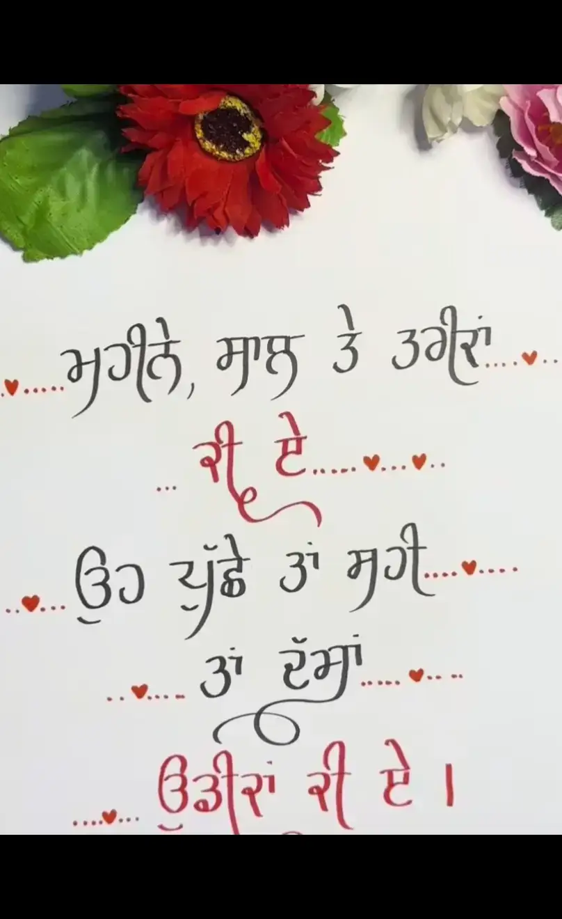 @Gopy