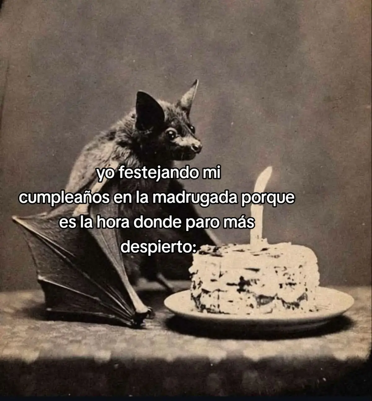@𝘼𝙨𝙖𝙙𝙞𝙩𝙤