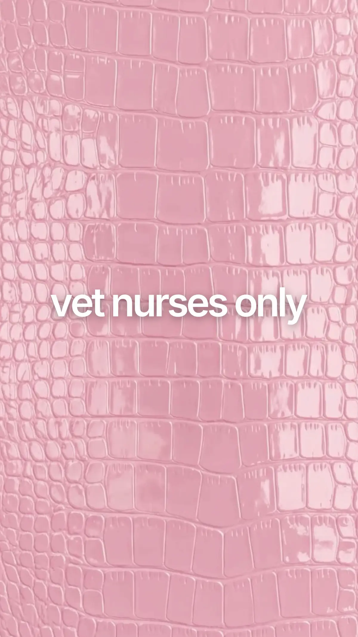 @Tess the Vet Nurse