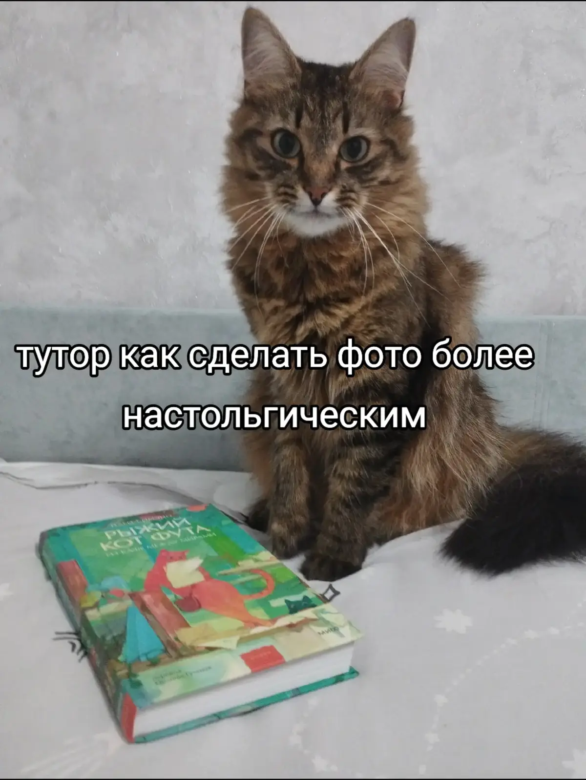 @Марсик😺💖