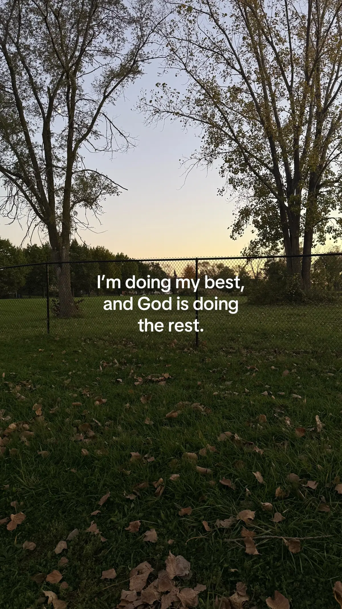 @ℒ ᥫ᭡