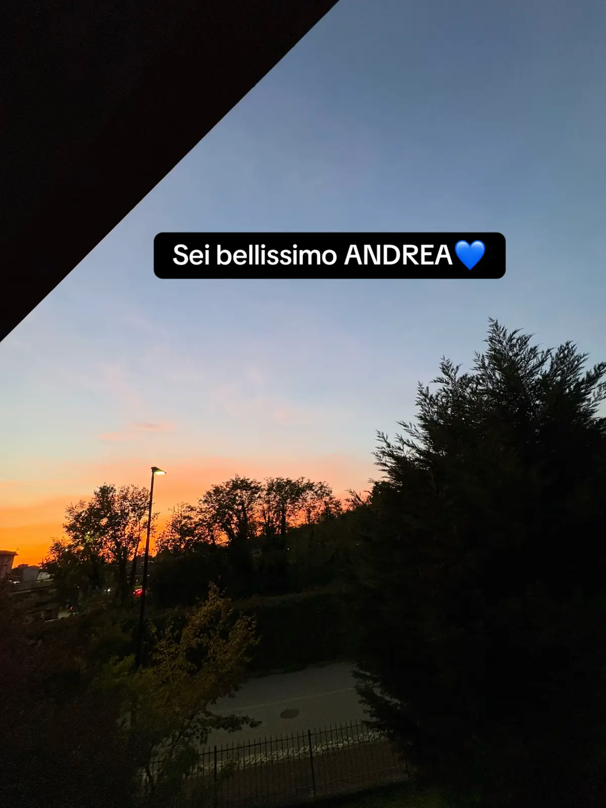 @valeria_mannone