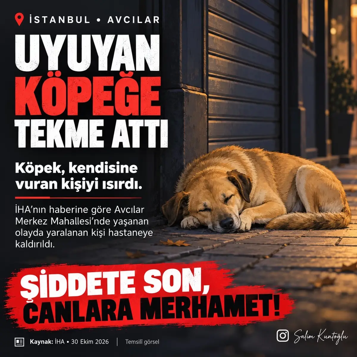 @Salim Kuntoğlu