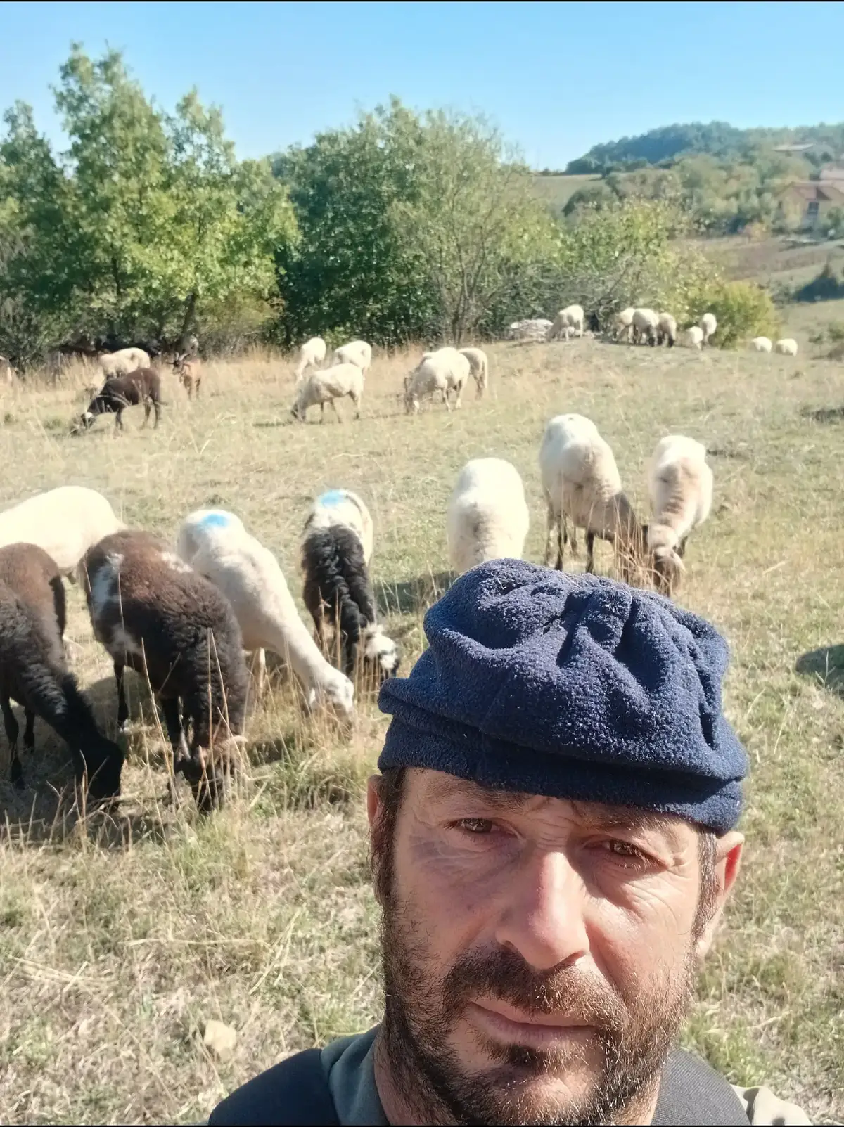 @Amato della vecchia