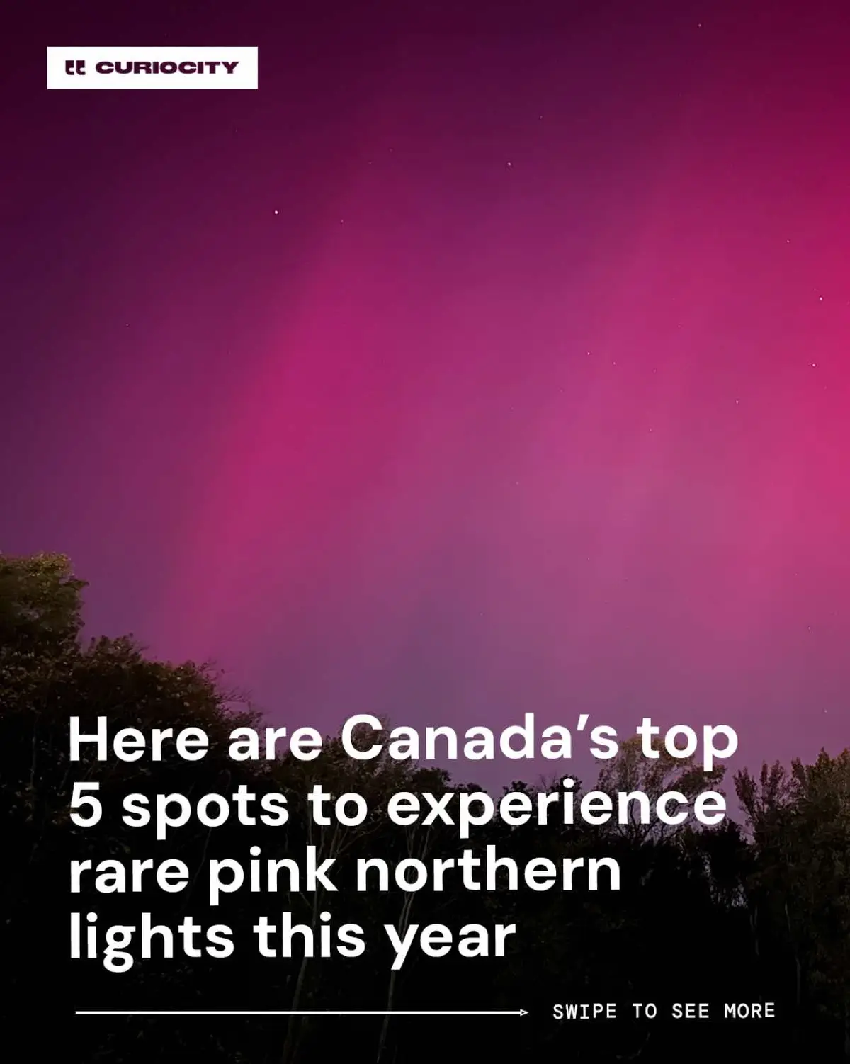 @Curiocity Canada