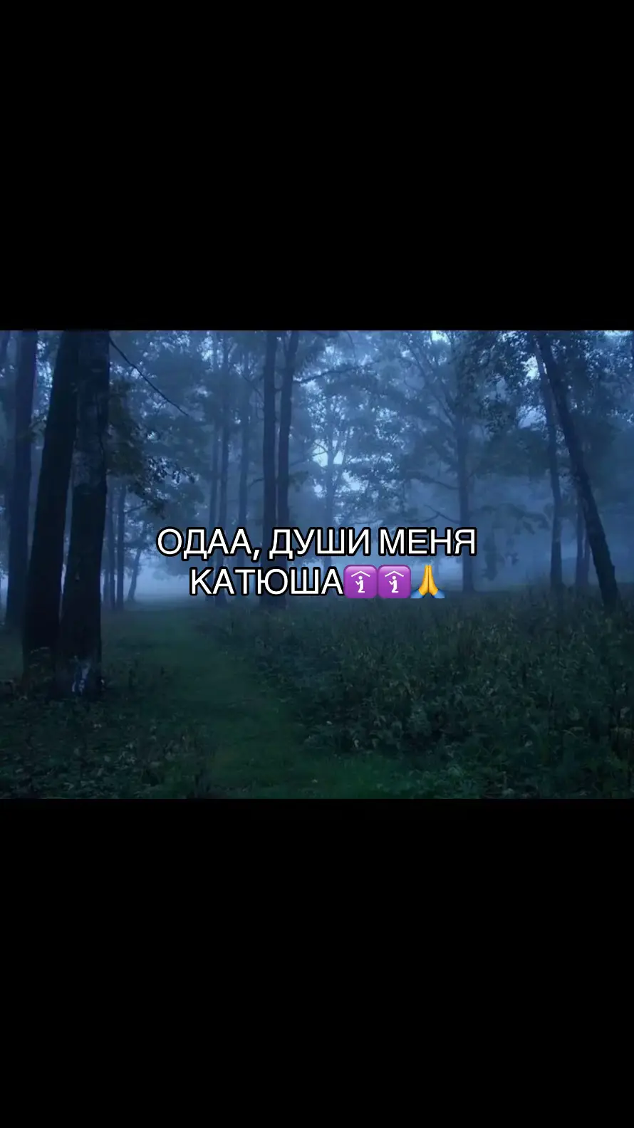 @Катя в сердце🫂
