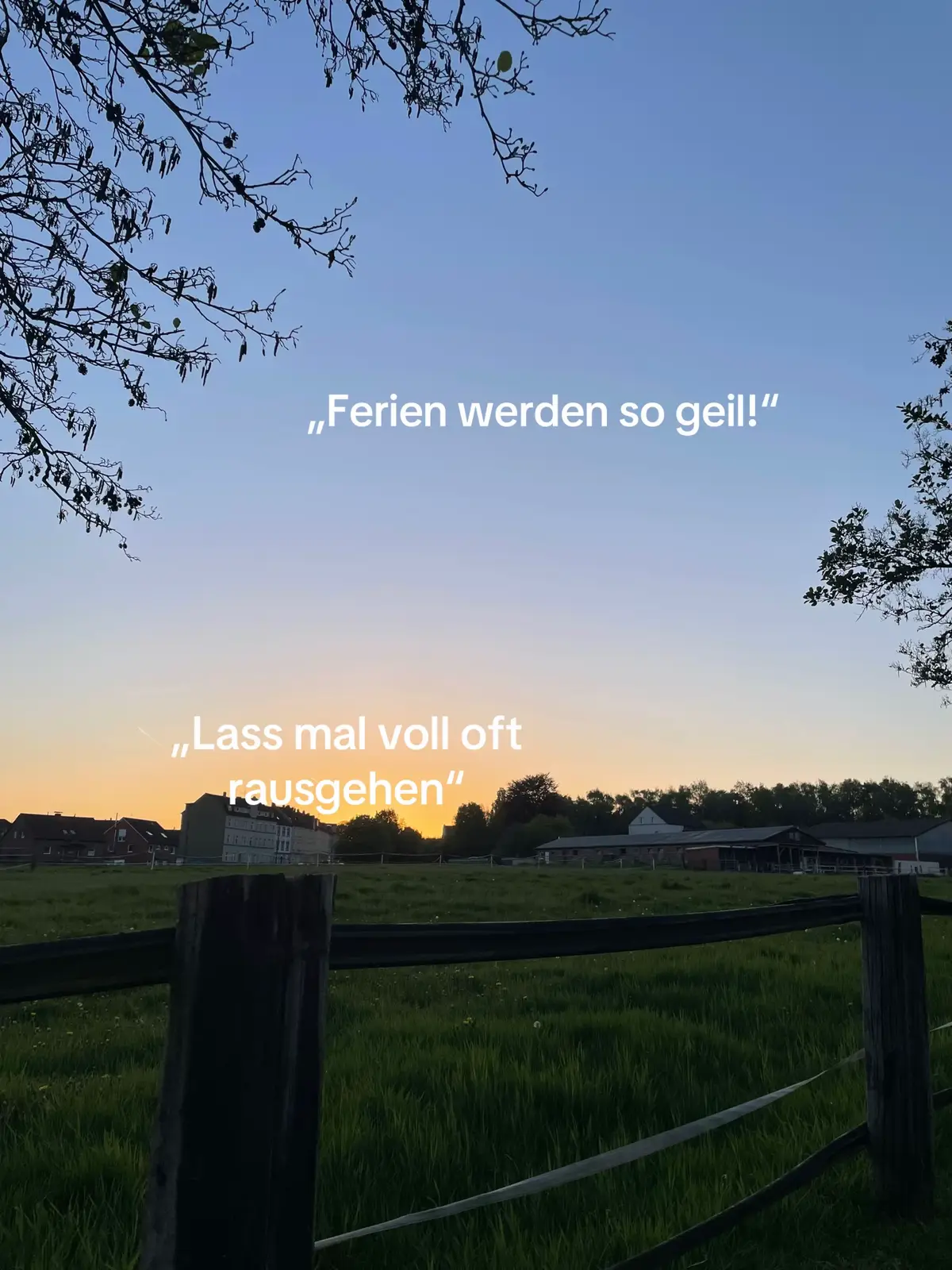 @👤