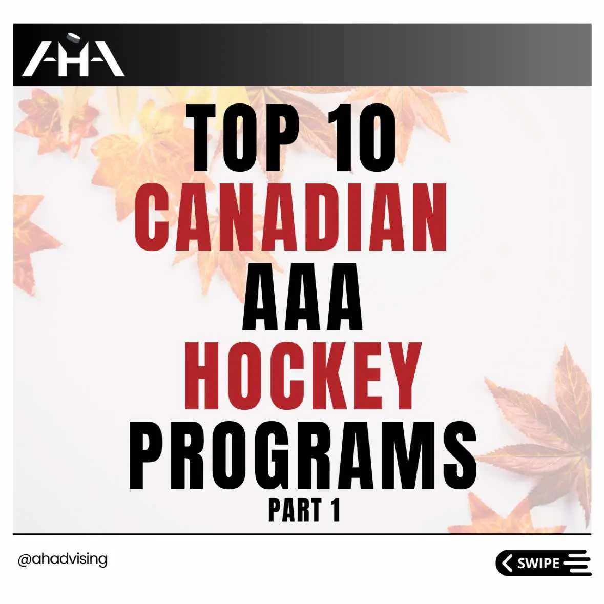 @Advancement Hockey Agency