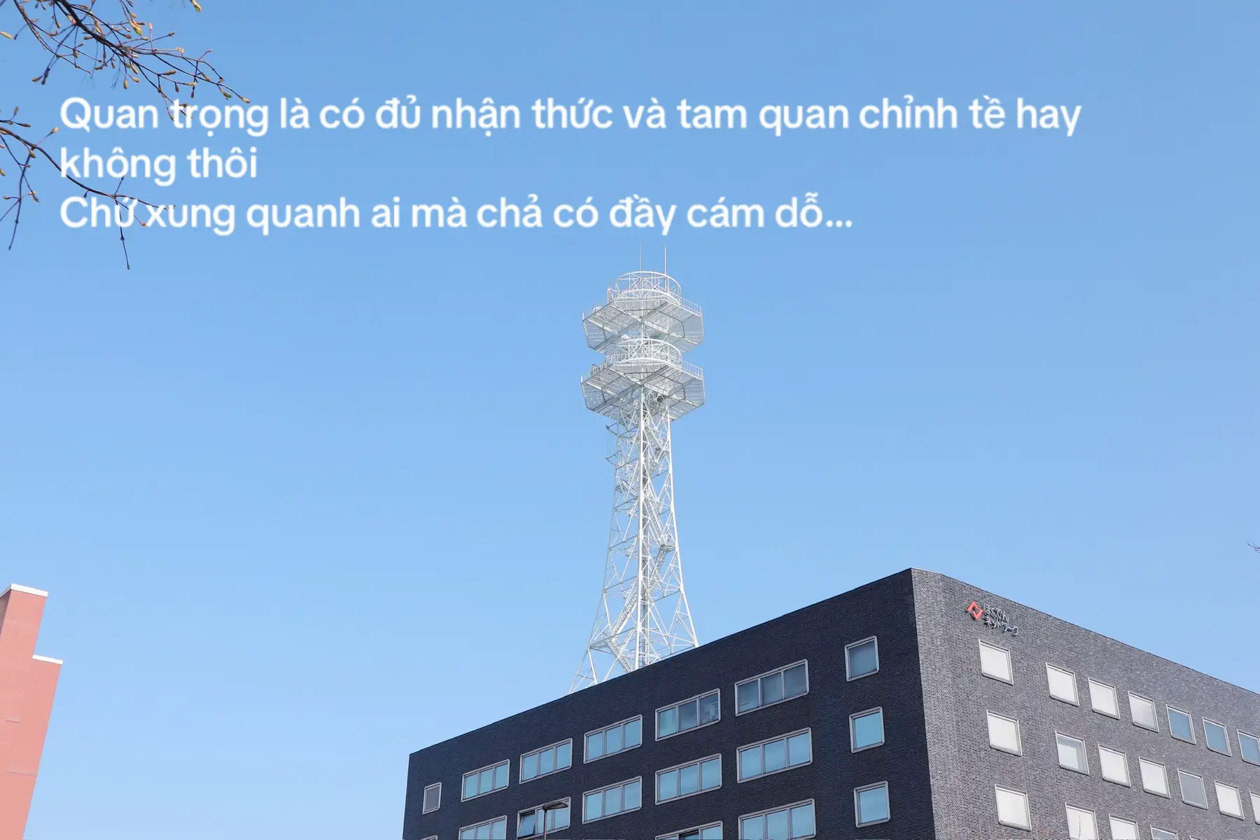 @Trin iu ✿