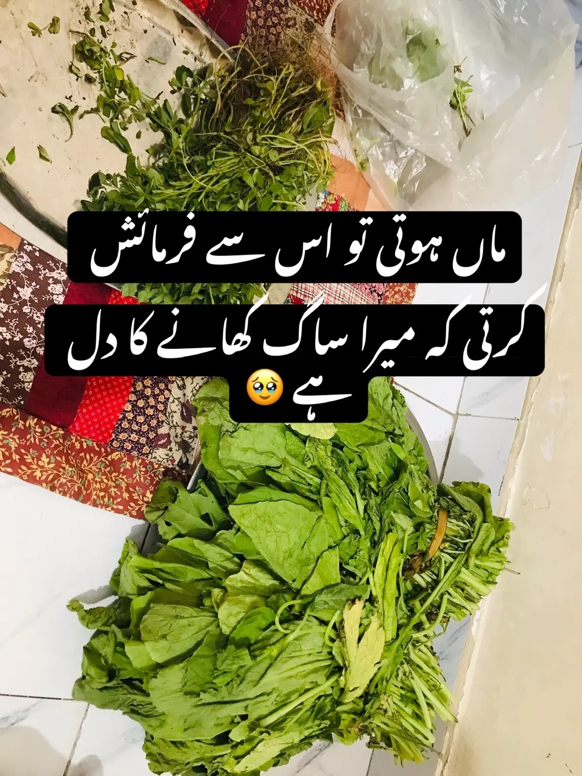 @Bakhtawar Zunair