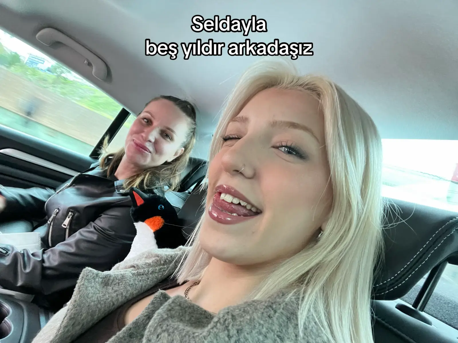 @melisa torgul