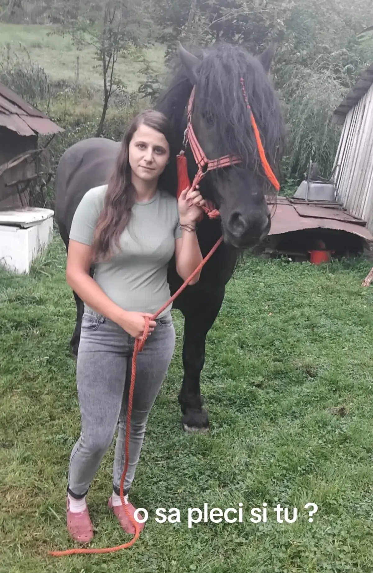 @Dancy Mariana