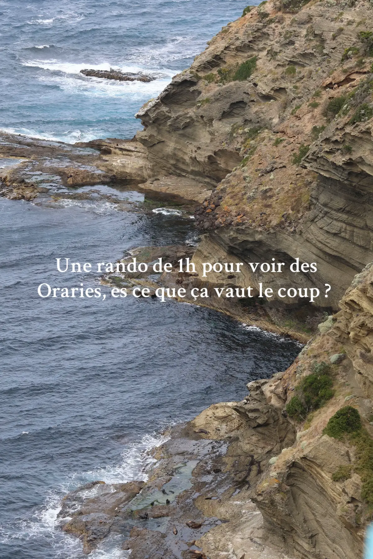 @EnVadrouilles