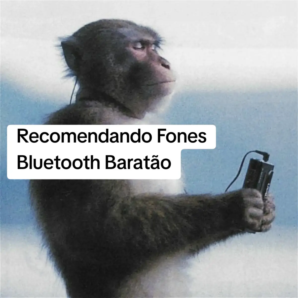 @CasaDaColina