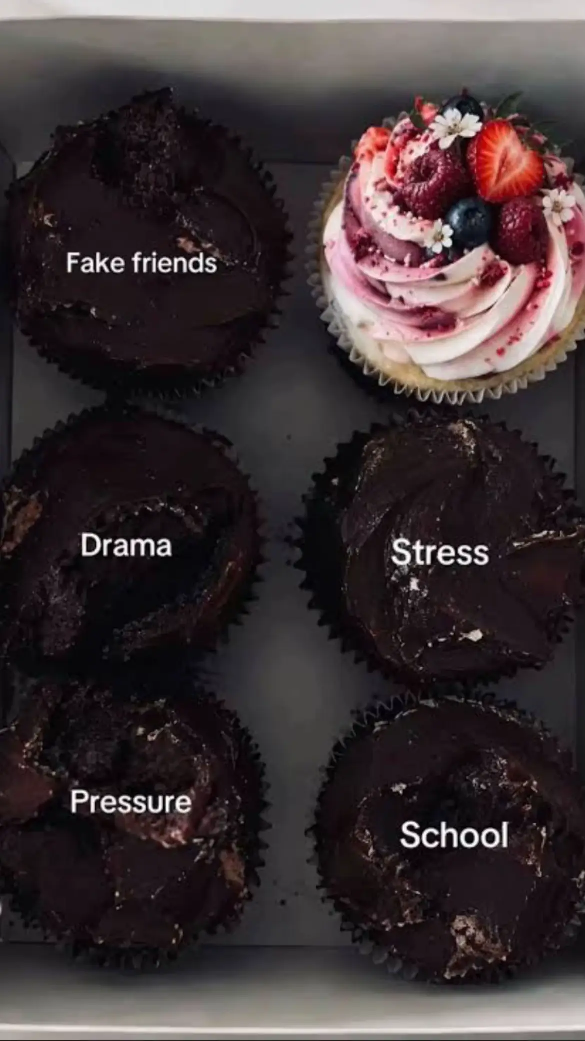 @🧸