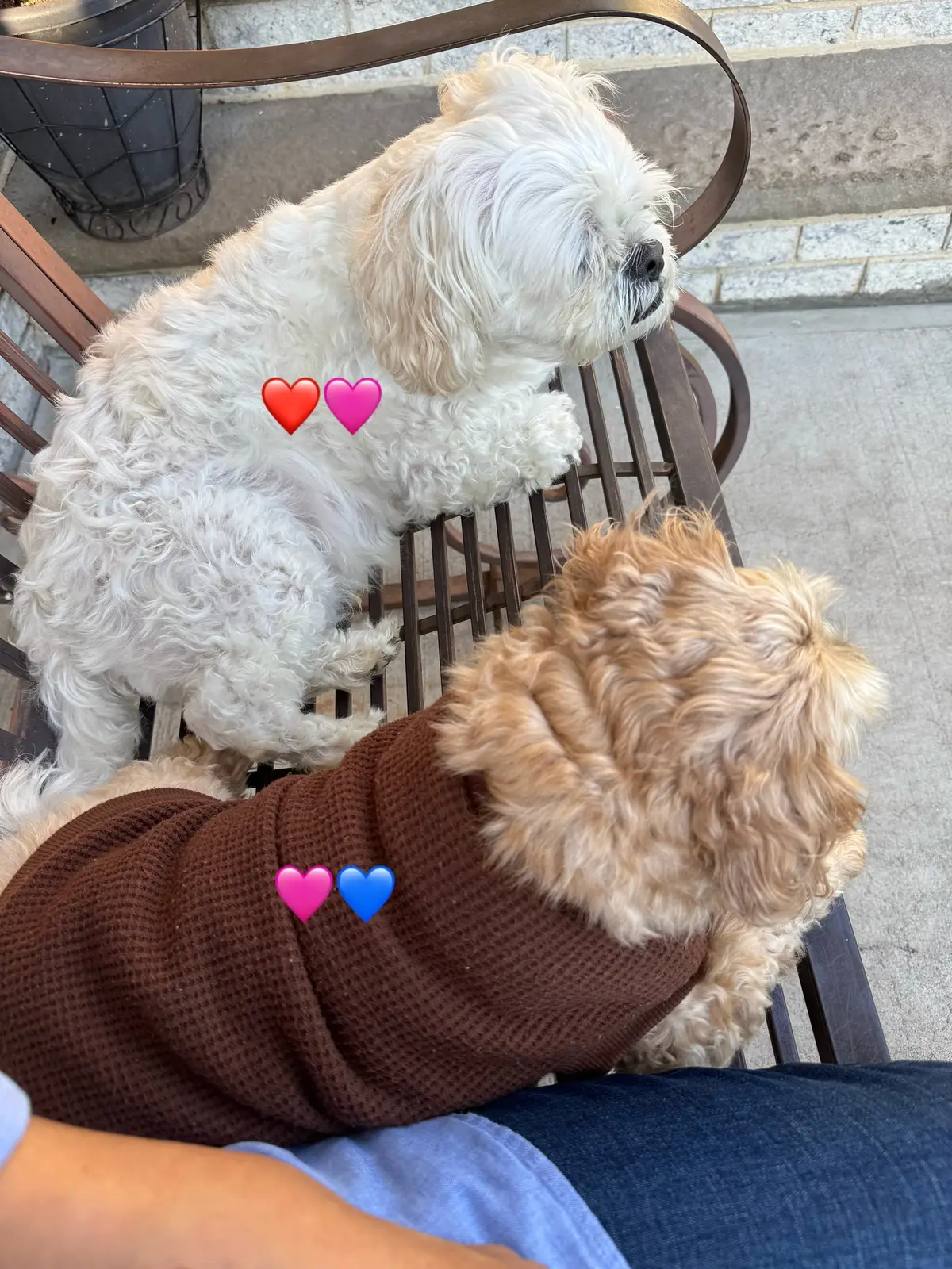 @Bomby y princesa🩵🩷