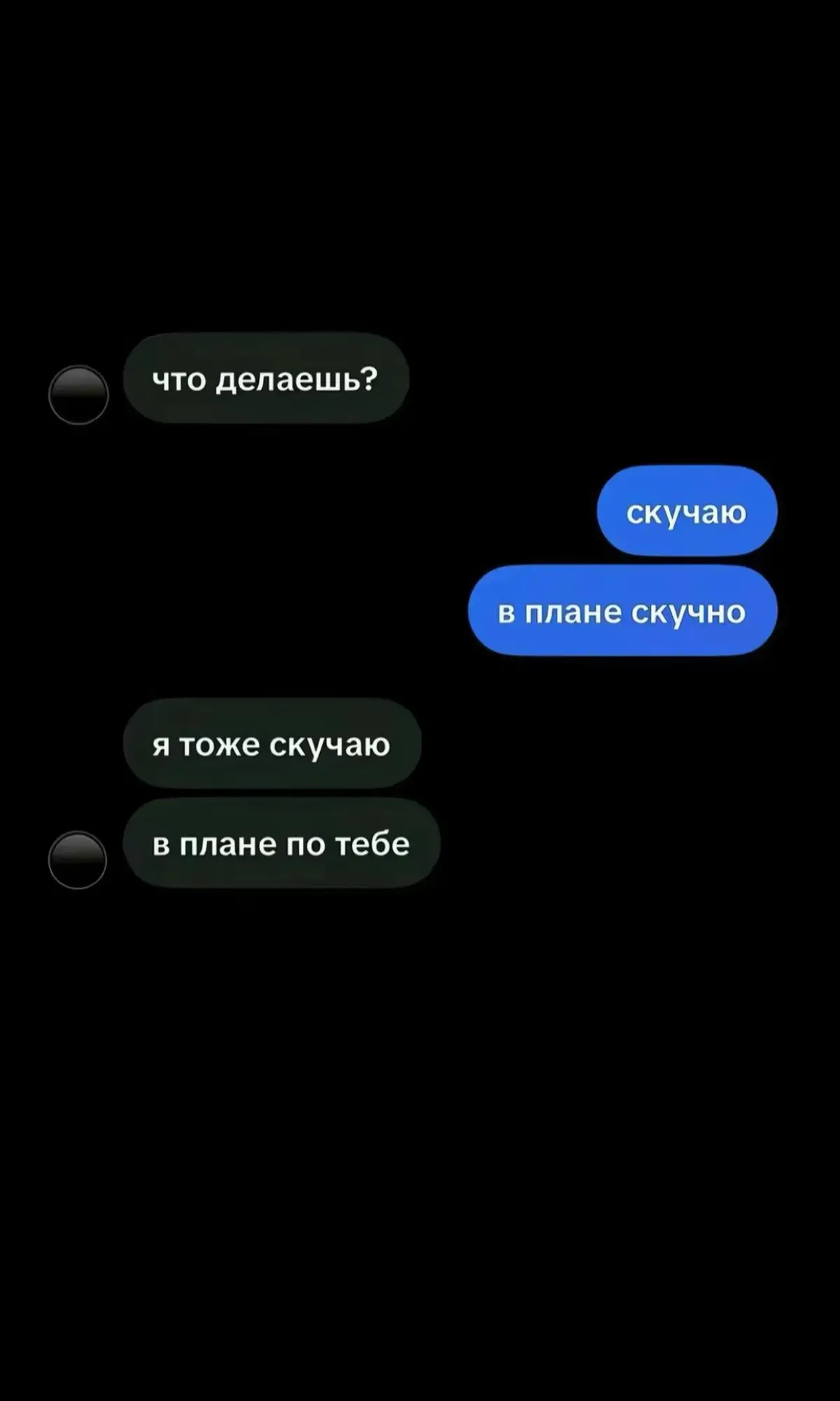 @Shutko🥷🏻