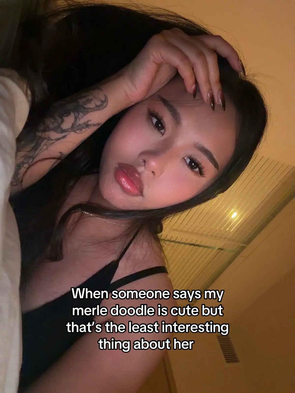 @sniffsniffarmpits
