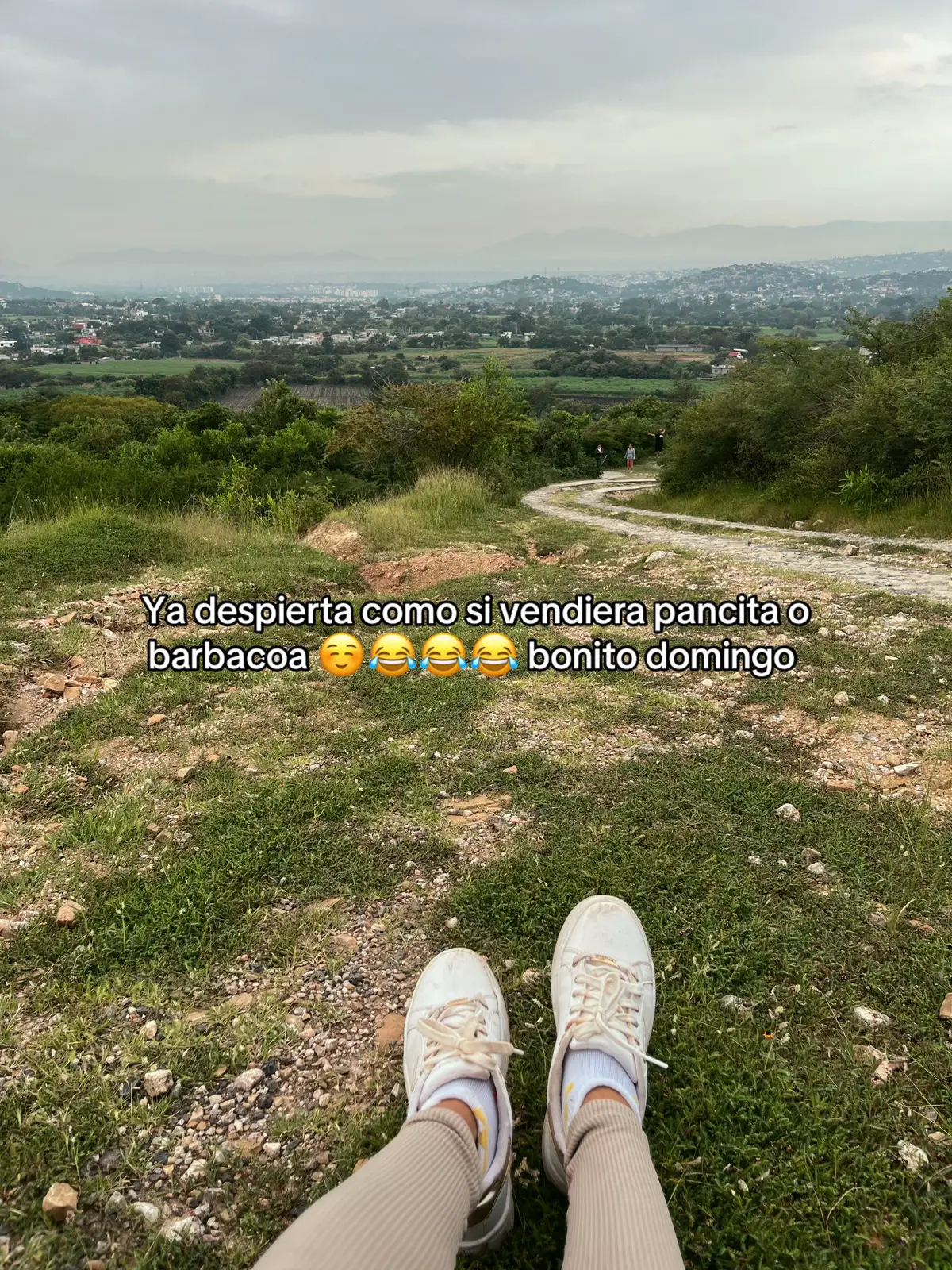 @fabi
