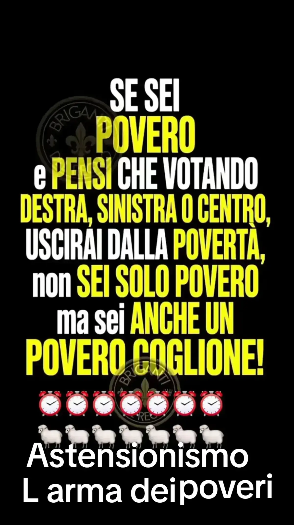 @MarioSopelliti