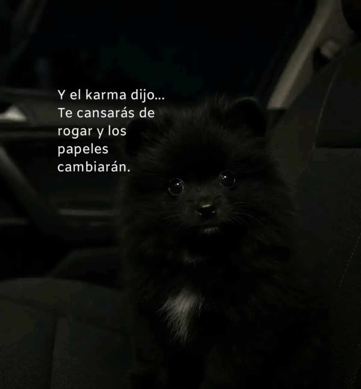 @.JOSÉ.⚔️🌽