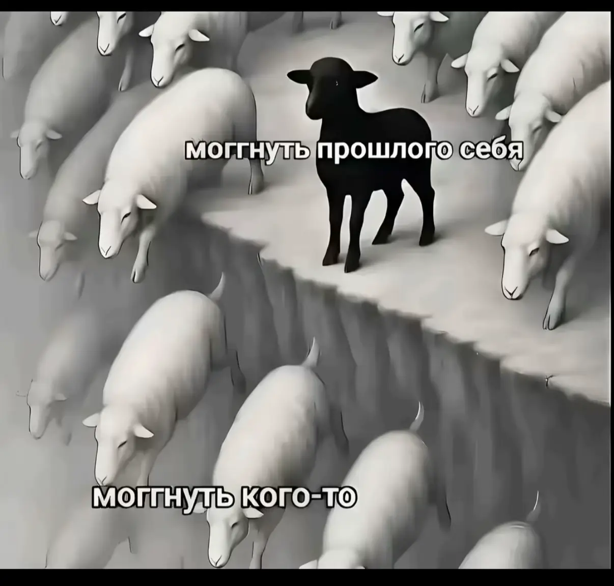 @тгк: innddexx
