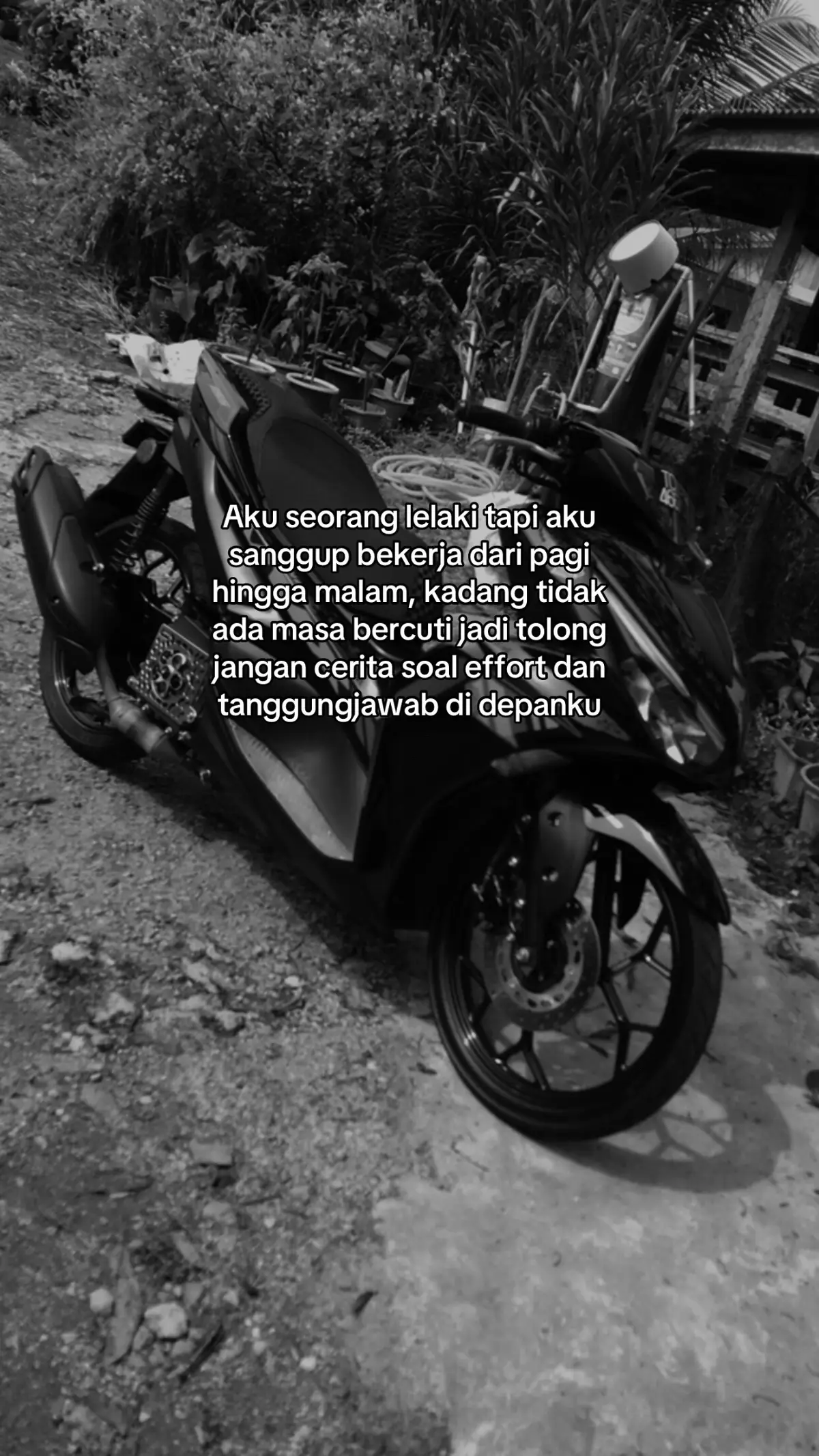 @S ⚡ N