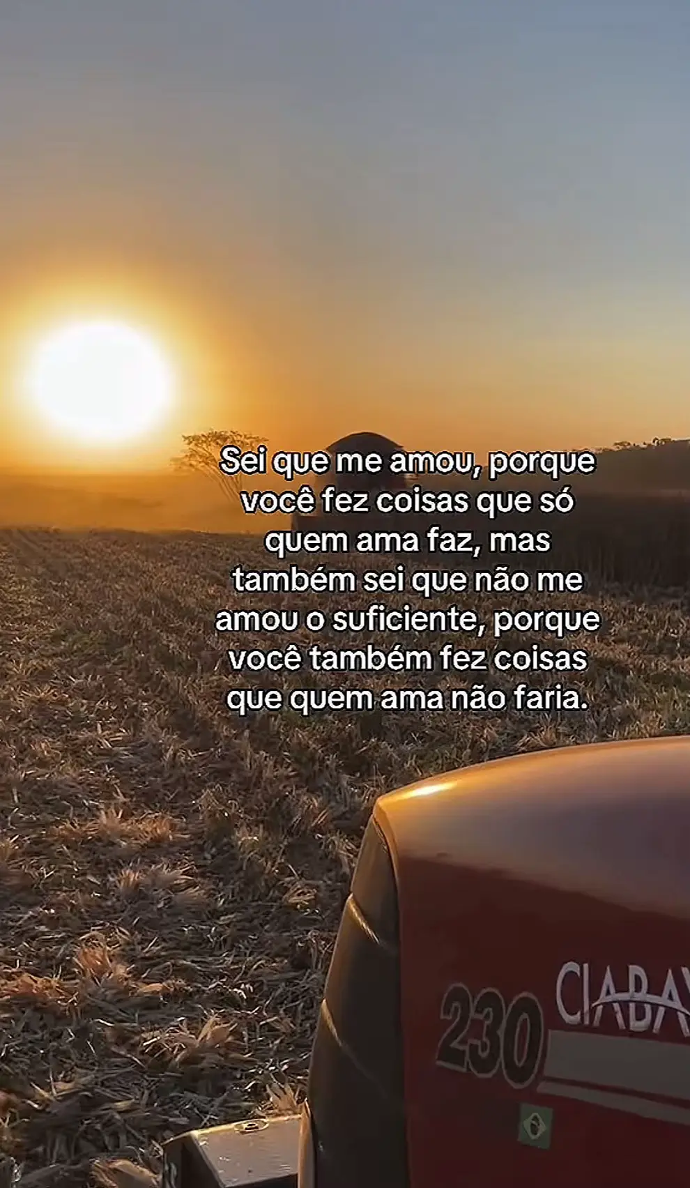 @Tania 1303