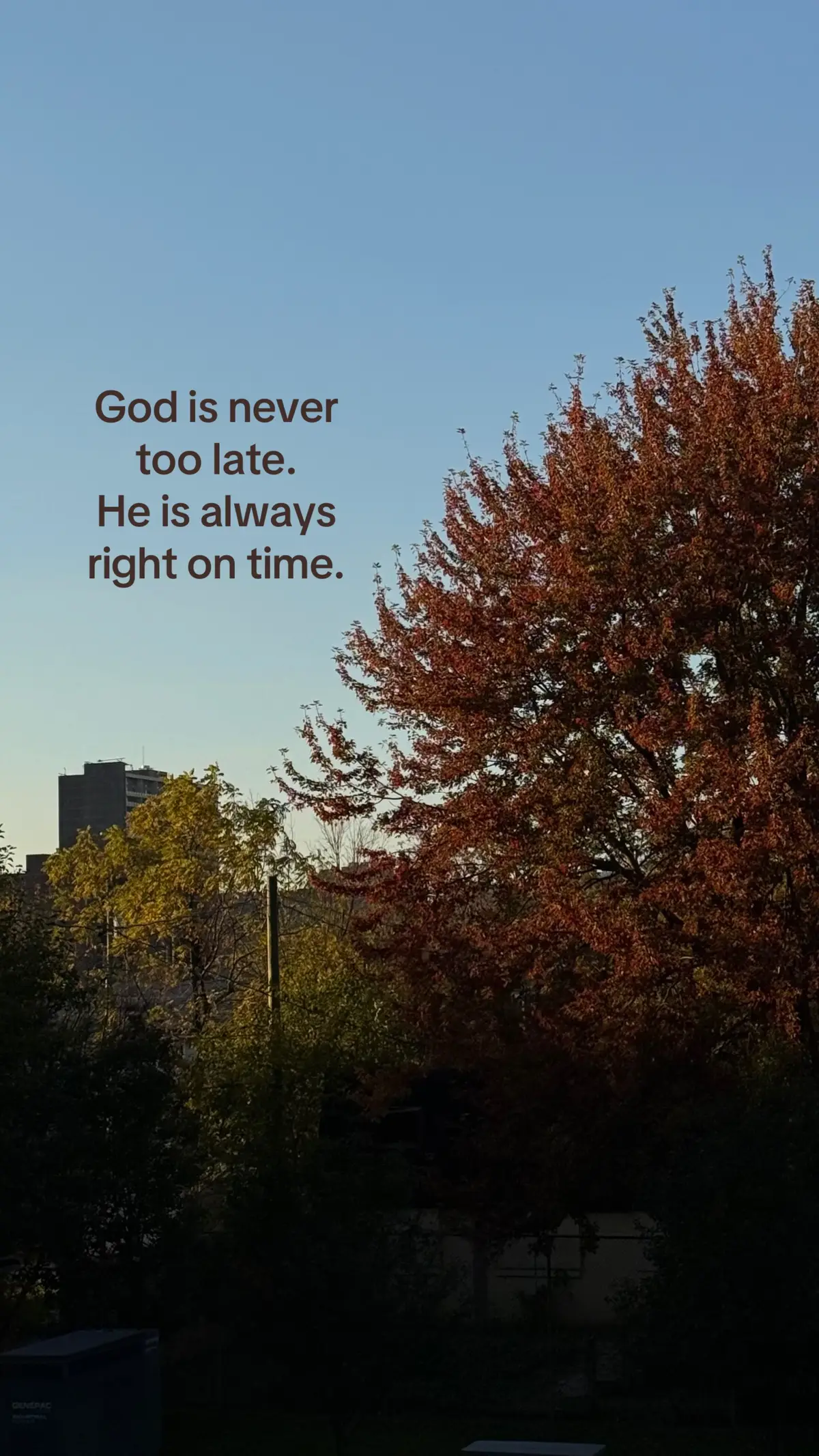 @ℒ ᥫ᭡