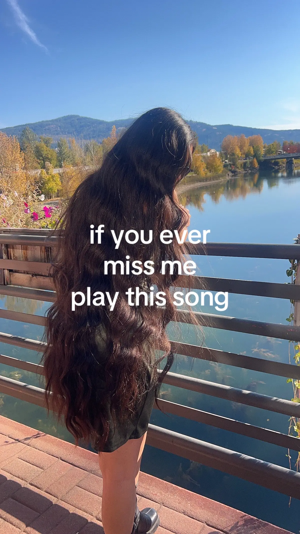 @Fel Franky