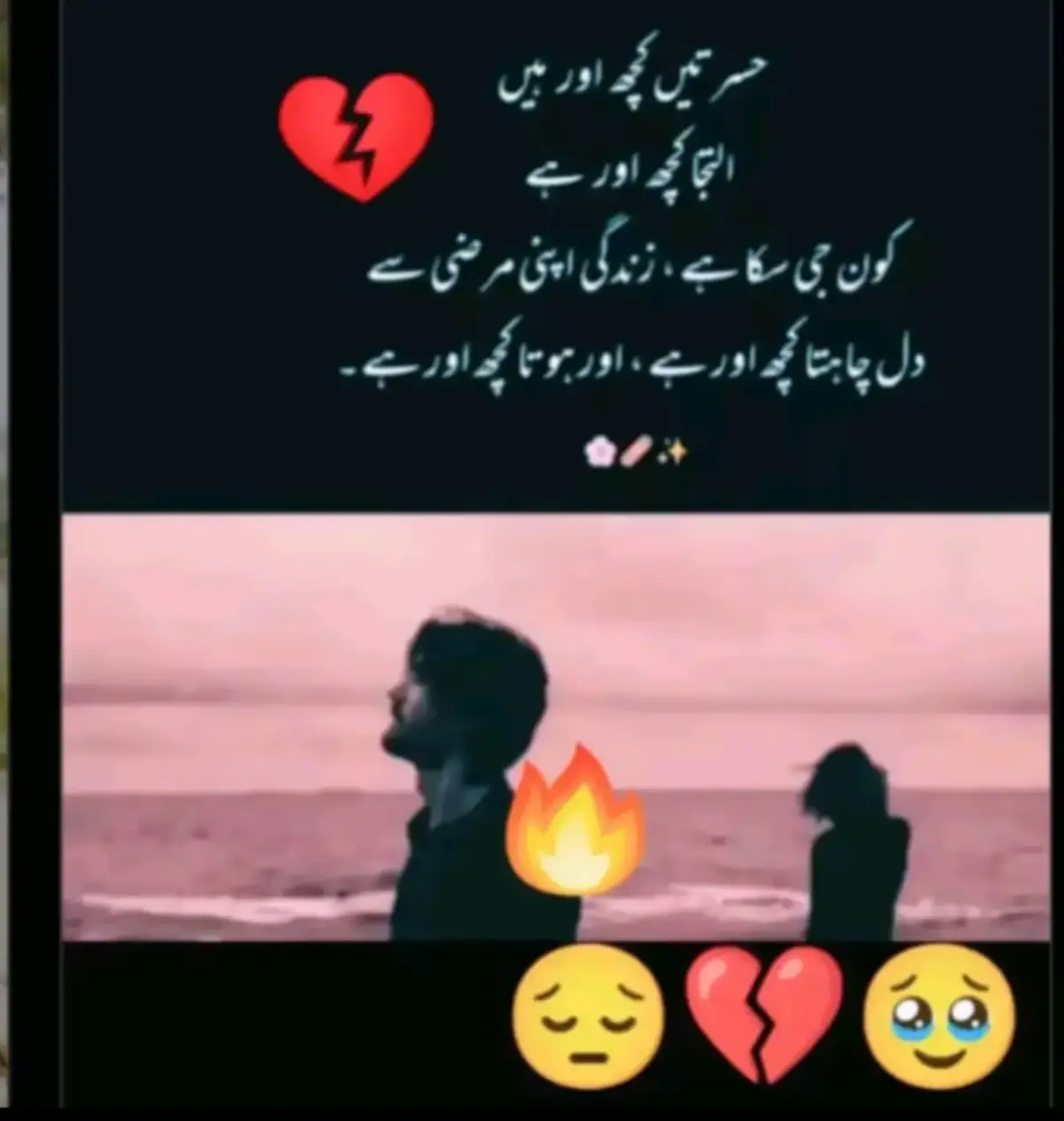 @Hassan Hussain💞