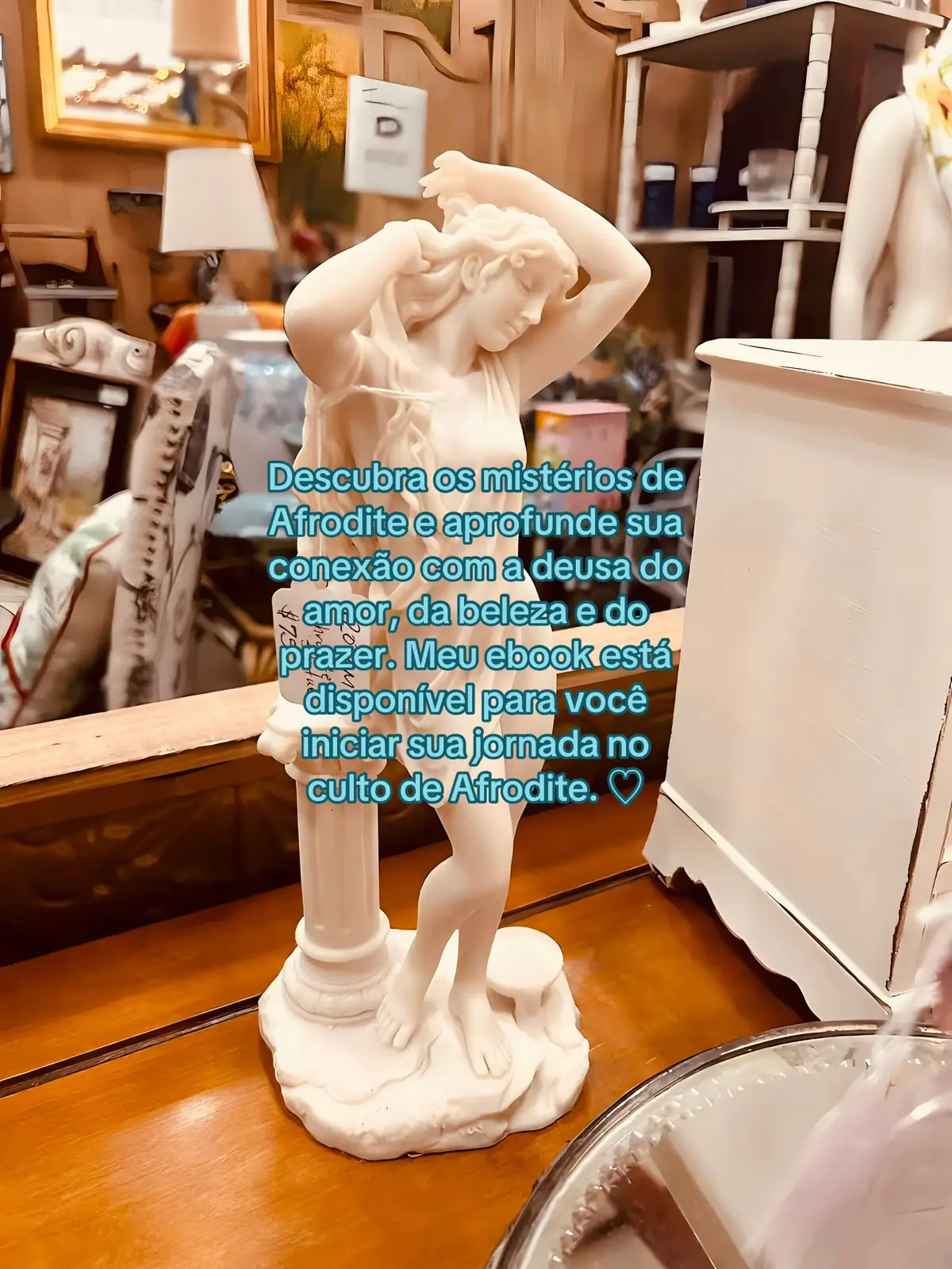 @VENUS ⋆˚꩜。