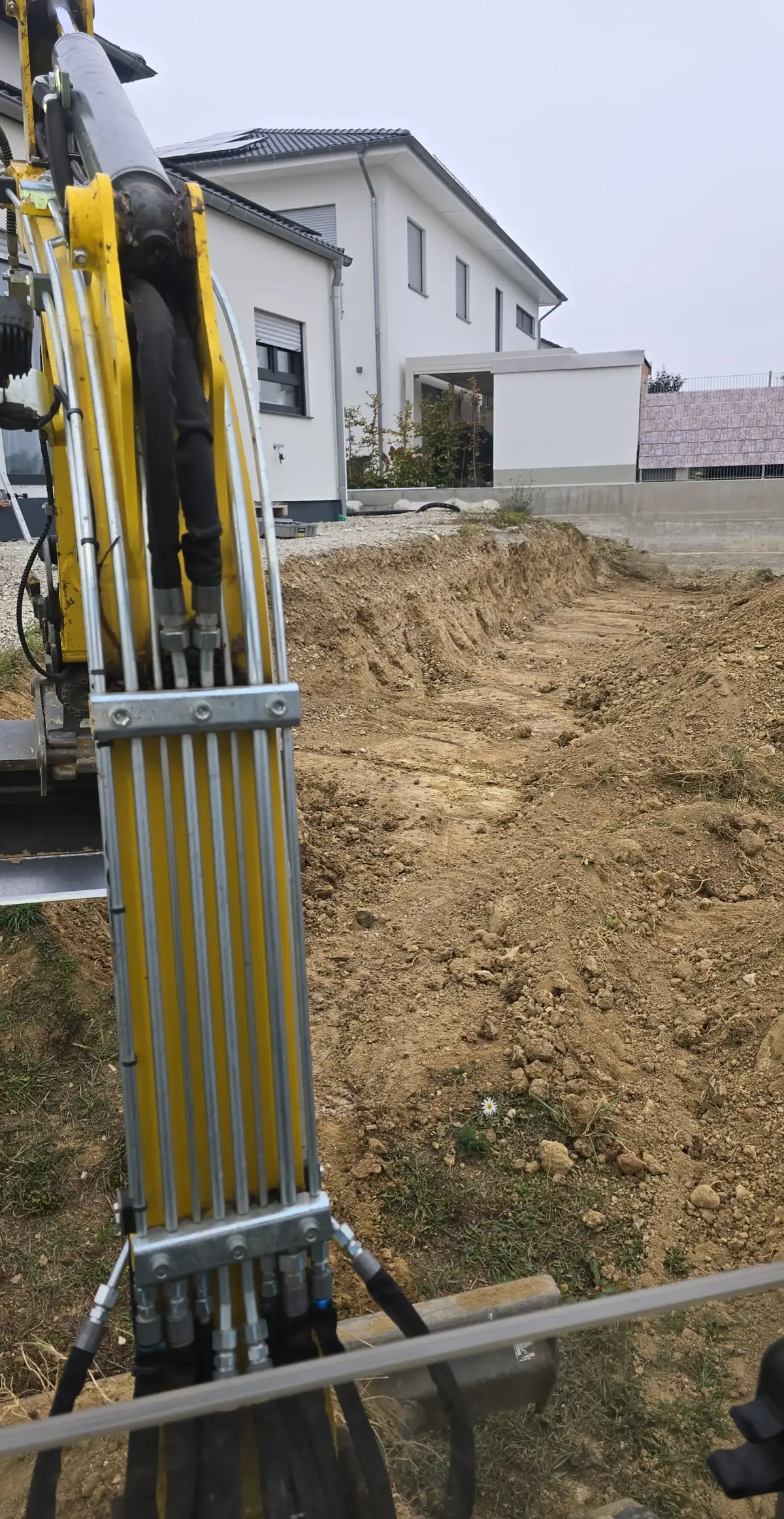@Egzon Rexhepi