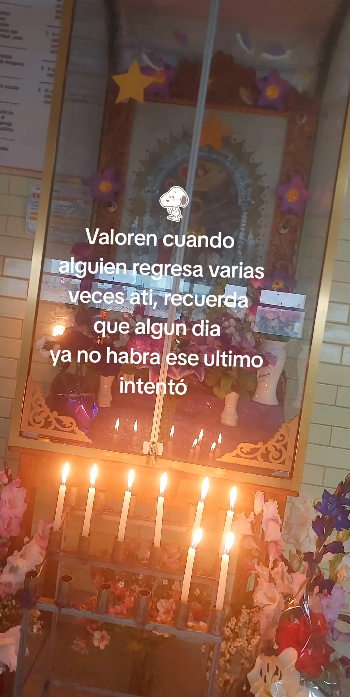 @Dania fd ❤️