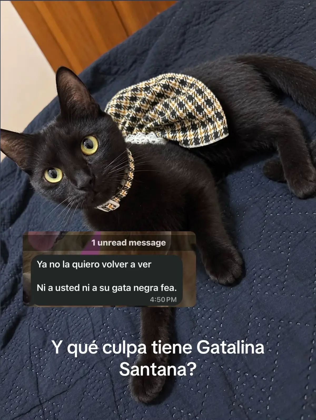 @Danicxa
