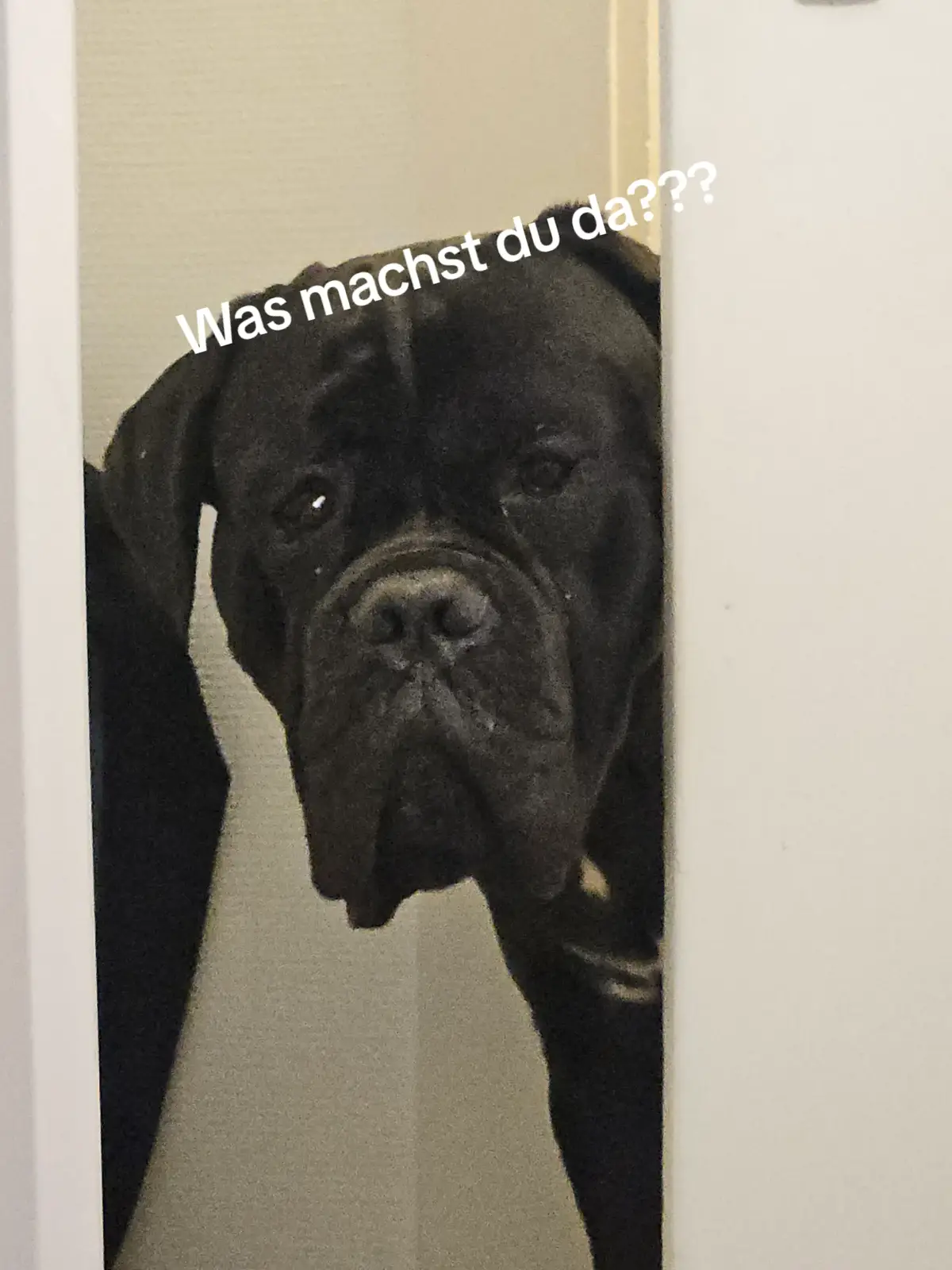 @Ludwig & Mich&egrave;le