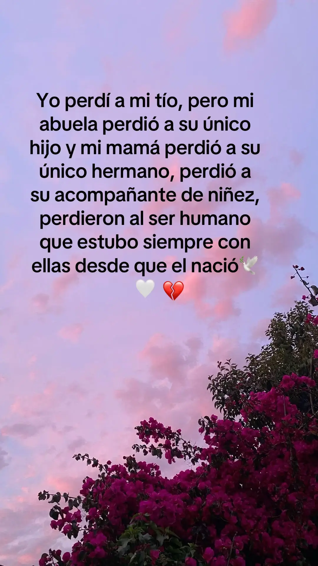 @Beatriz A .