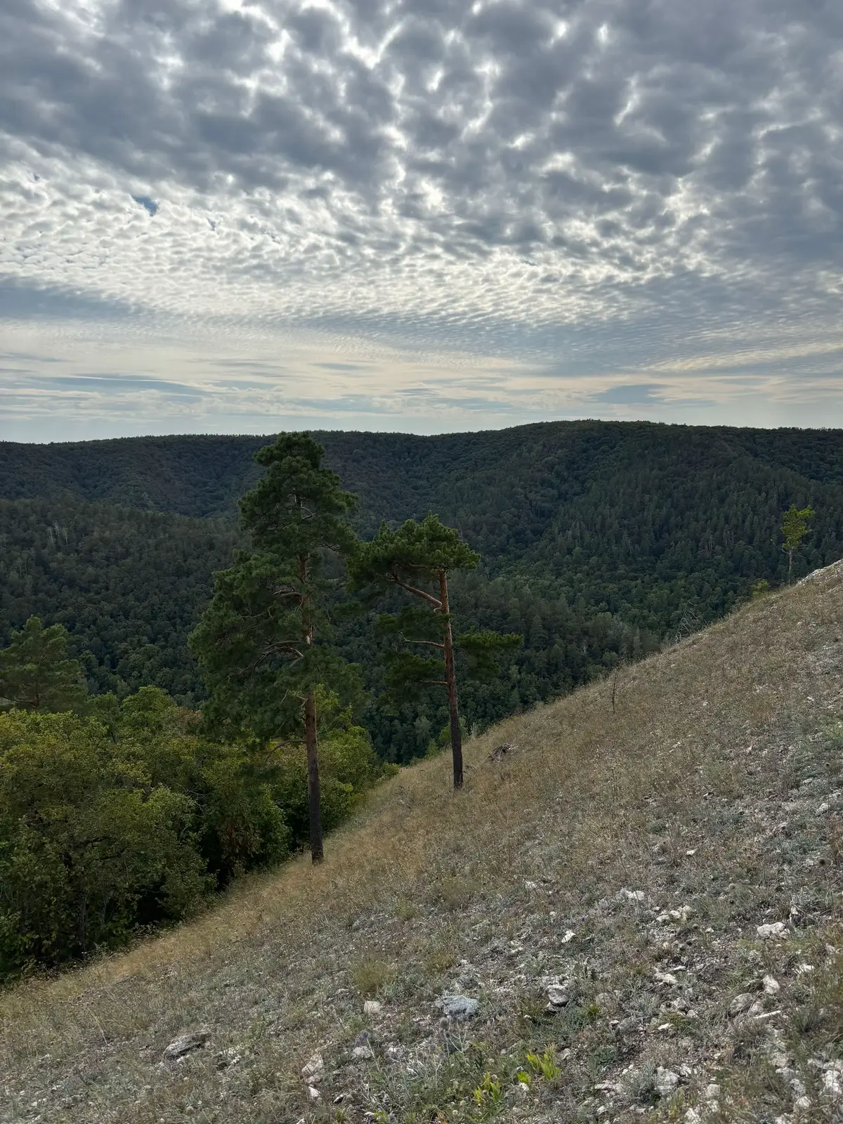 @кератиновая