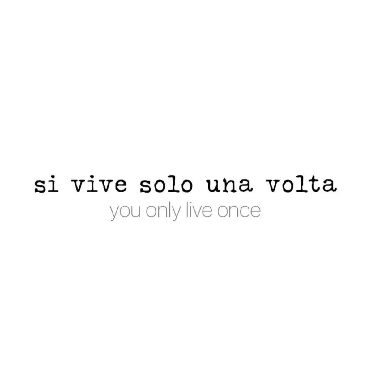 @Ava Animal 🩷🐾🩷