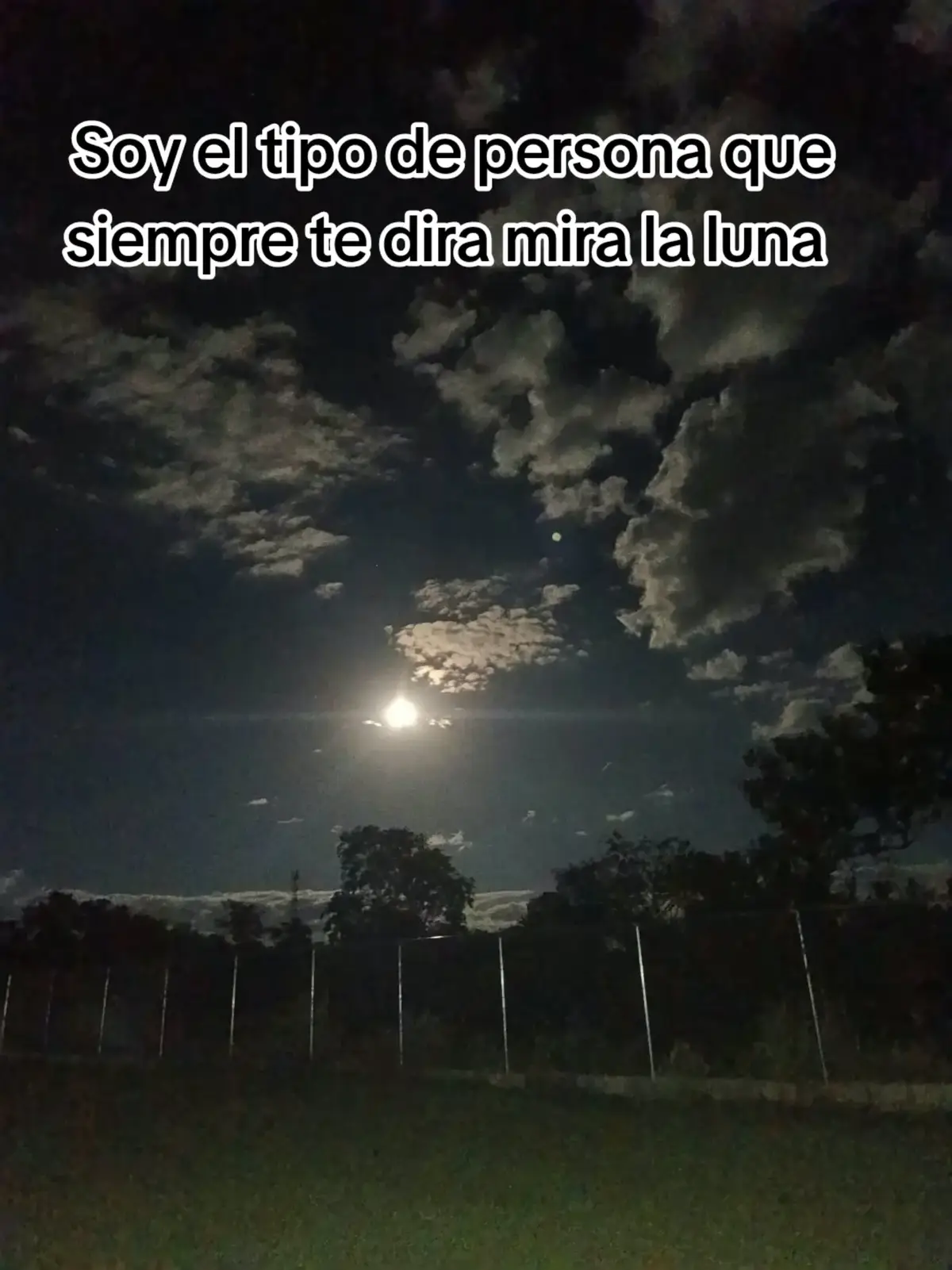 @Claribella 🦋🦋