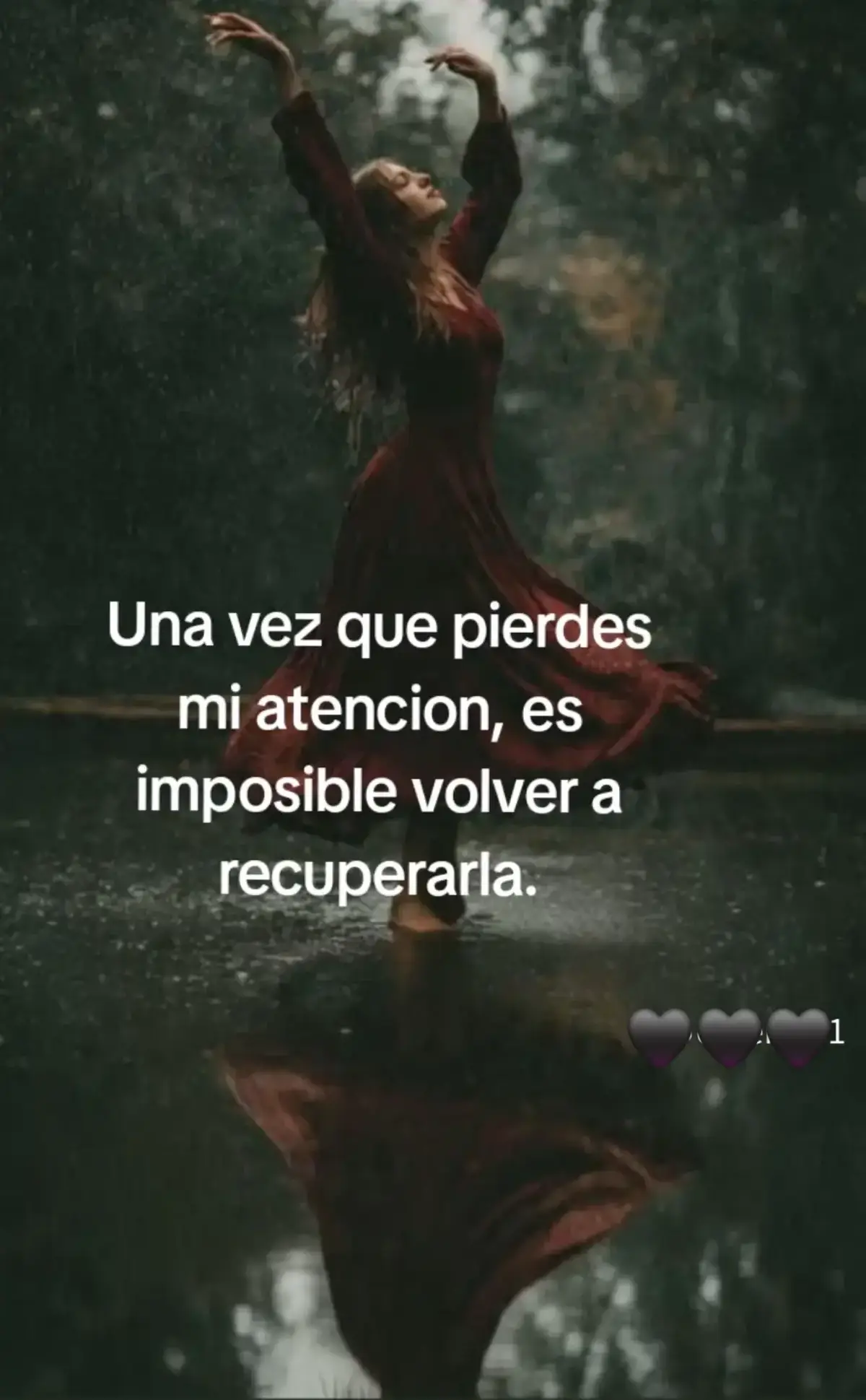 @Claribella 🦋🦋
