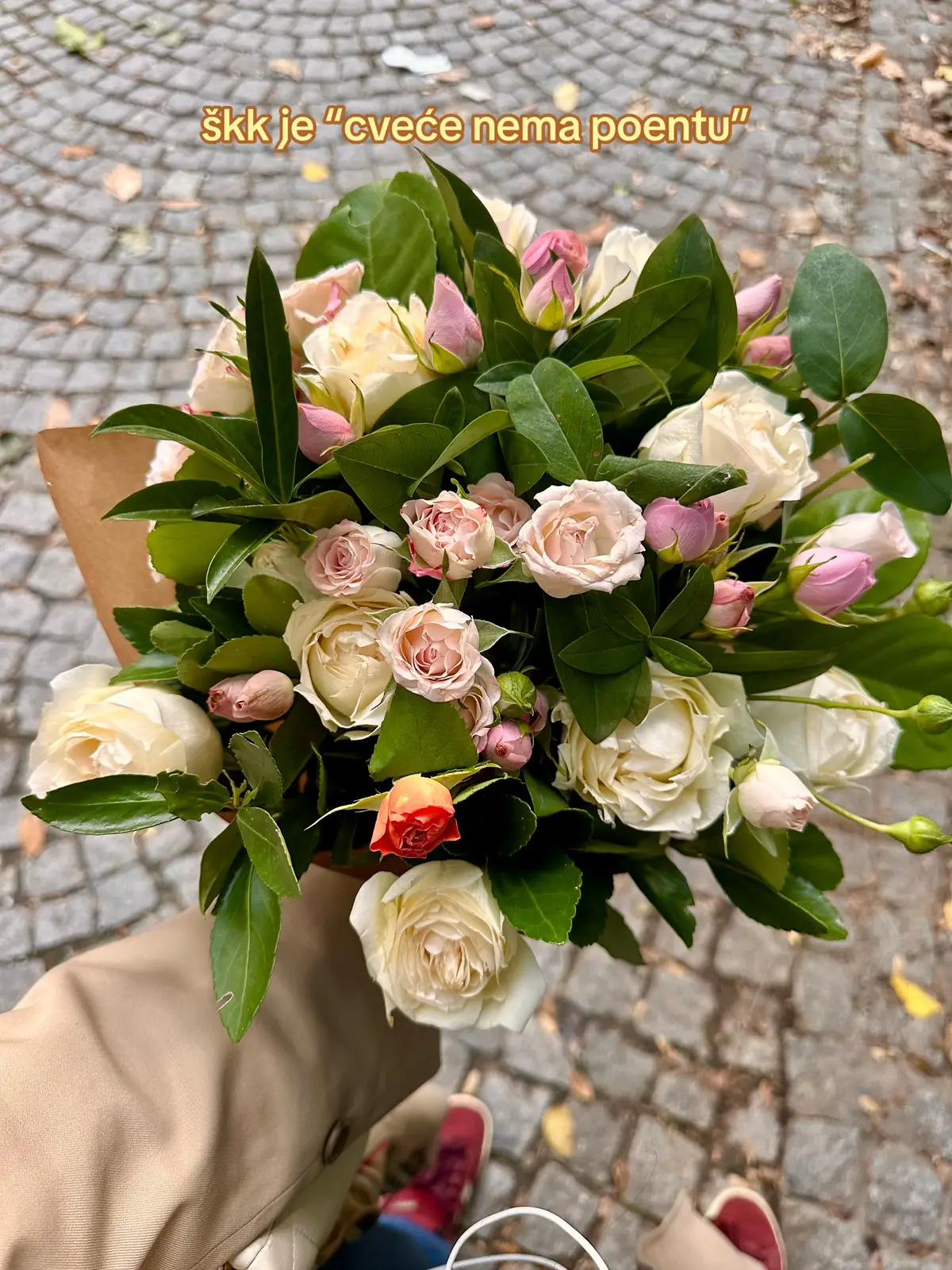 @Dunja 🫧🌸