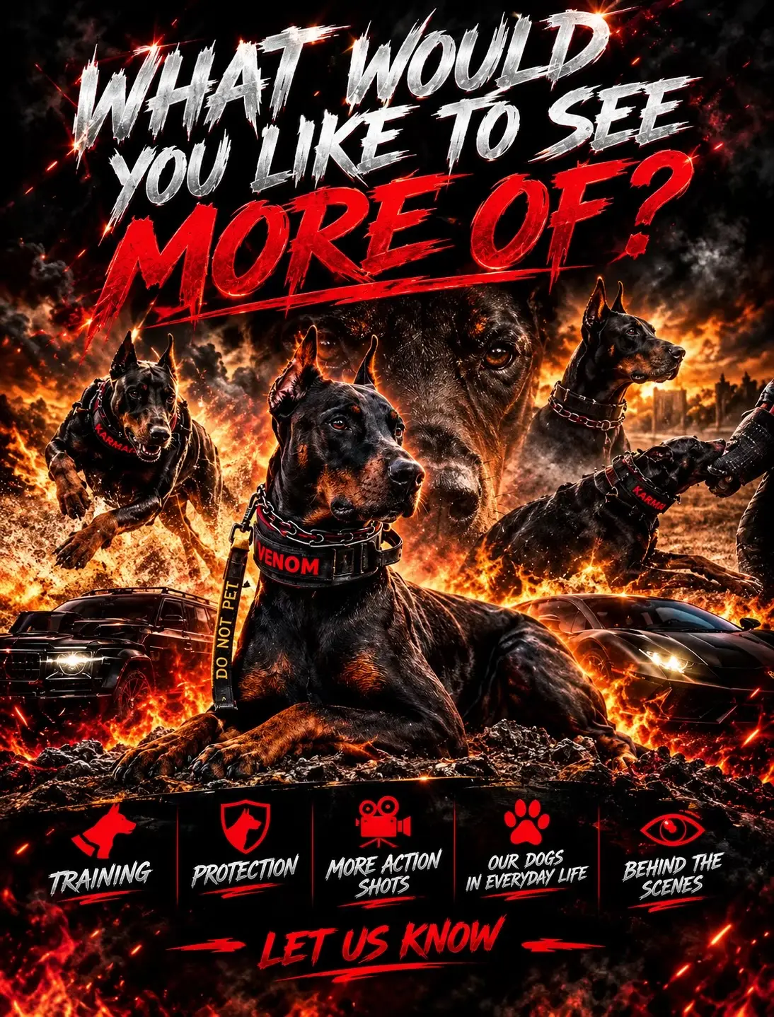 @protectiondobermanns