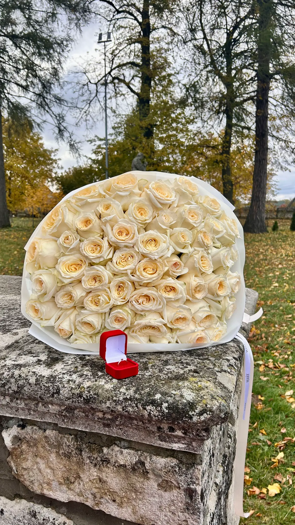 @Марія Чорна