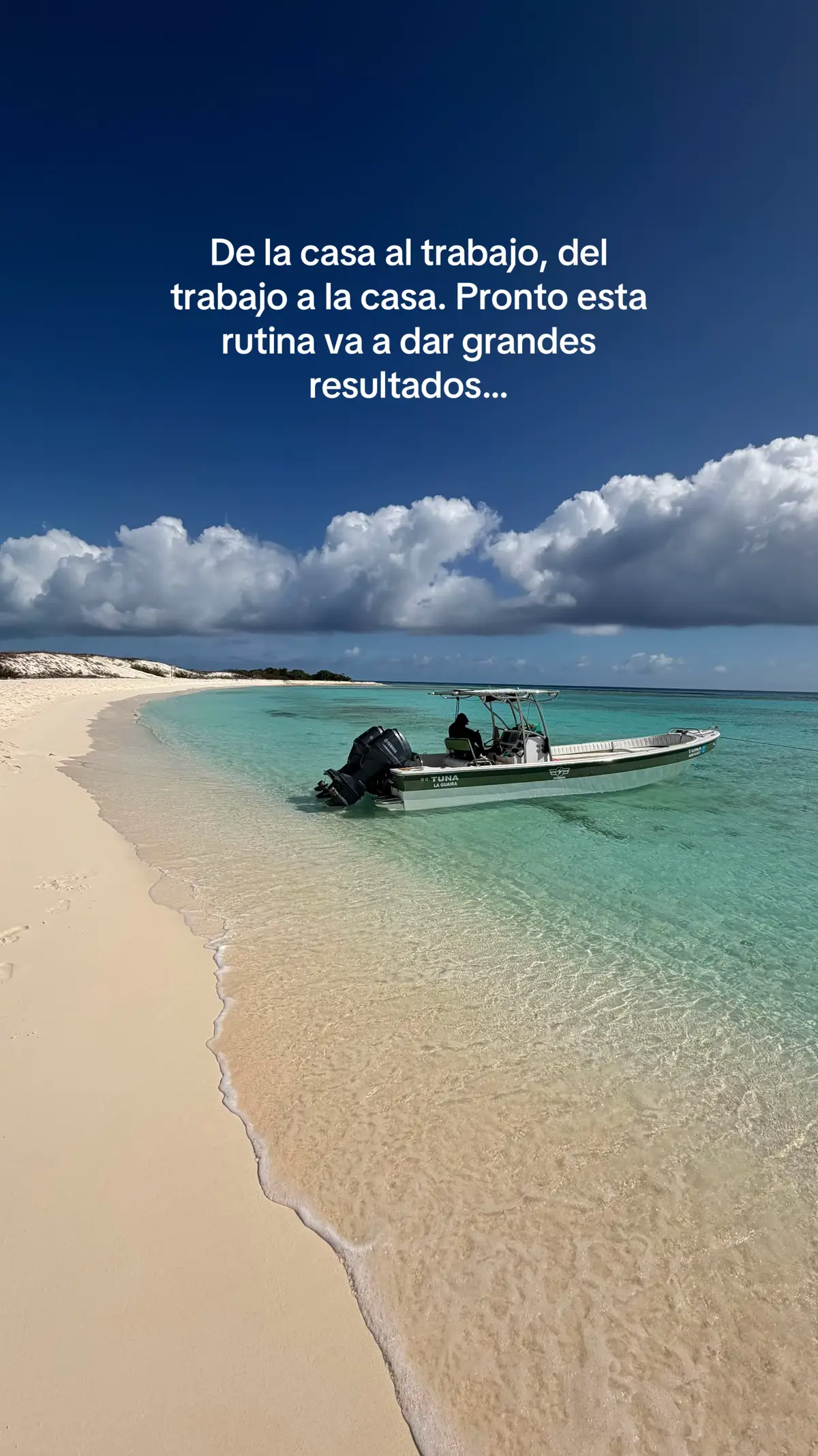 @Tuna Los Roques 🌵