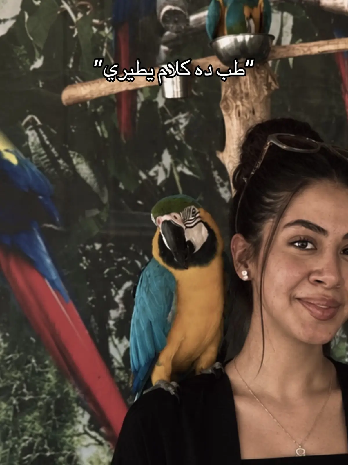 @&deg;&times;&bull;Shaima Tariq&bull;&times;&deg;