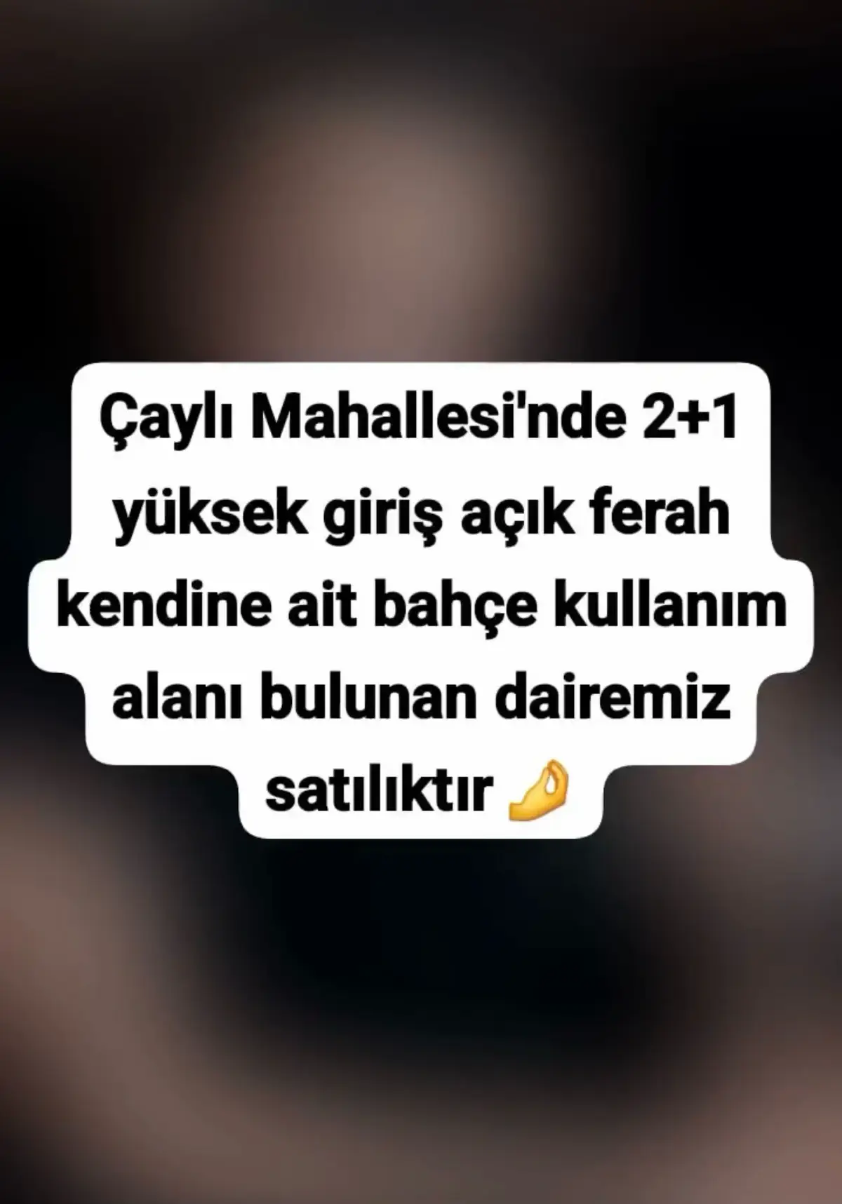 @_dry48