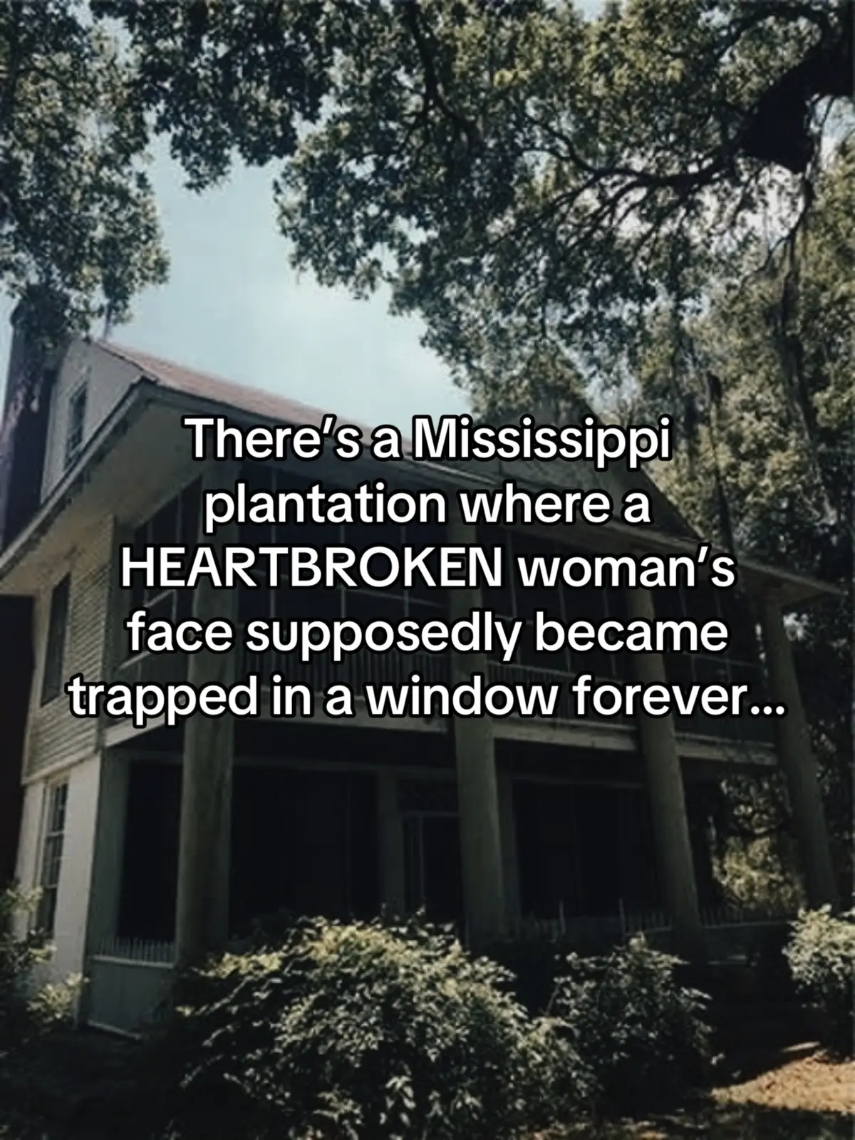 @bellesandbloodshed