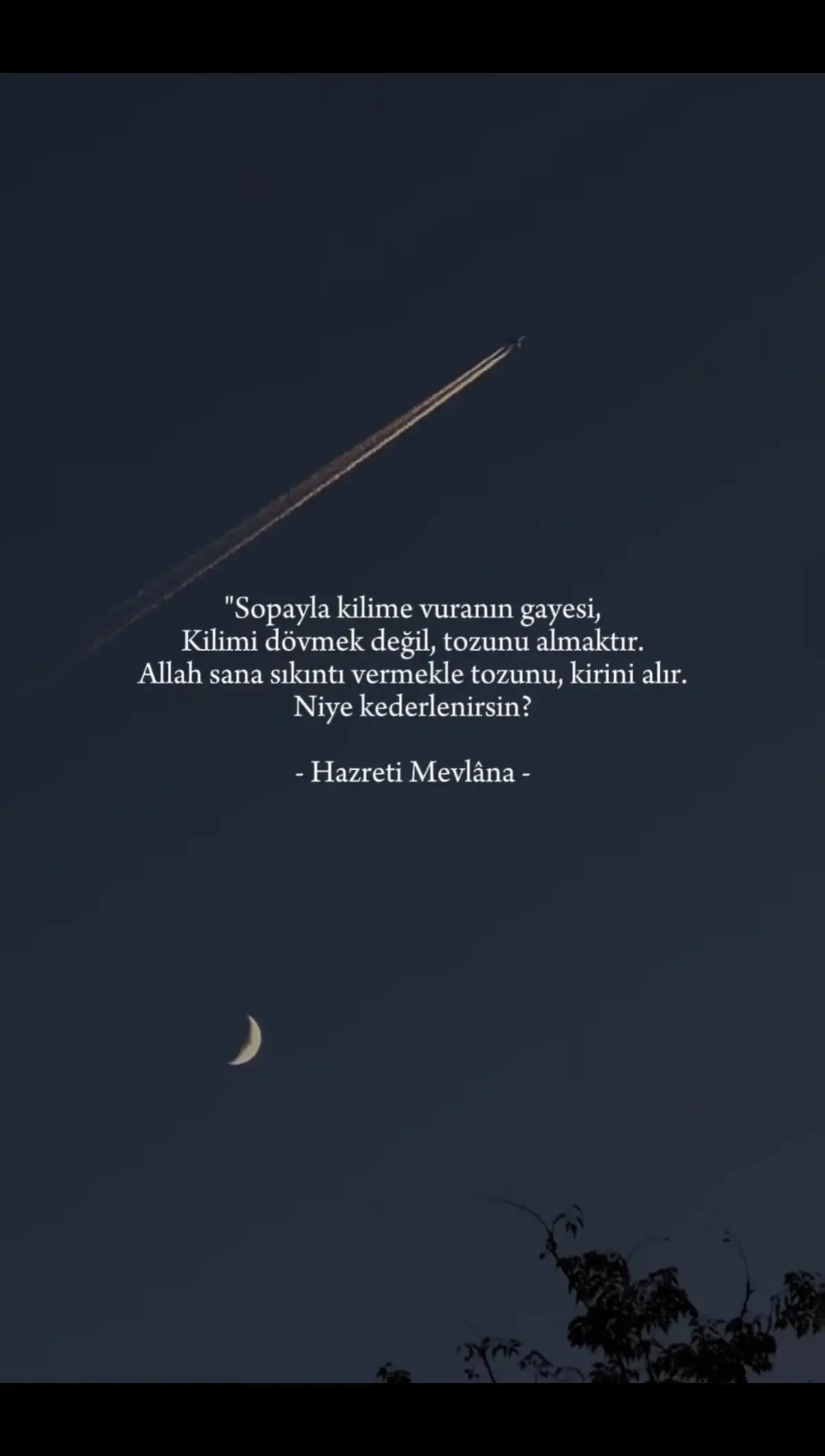 @£|)@🕊️