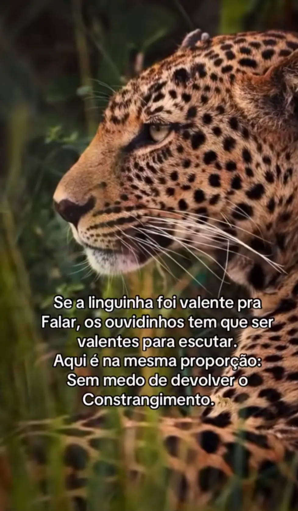 @Tania 1303